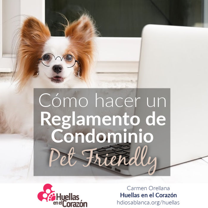 como hacer un reglamento pet friendly