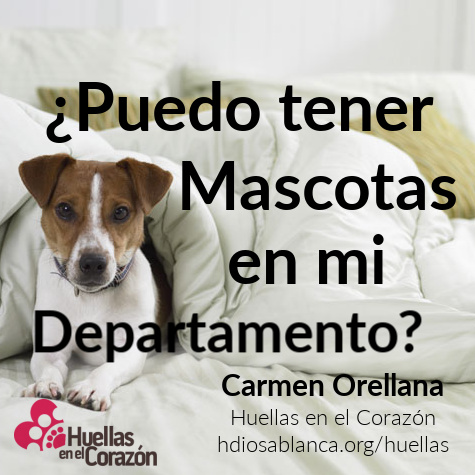 puedo tener animales en departamento